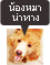 ��ͧ��ҹӷҧ