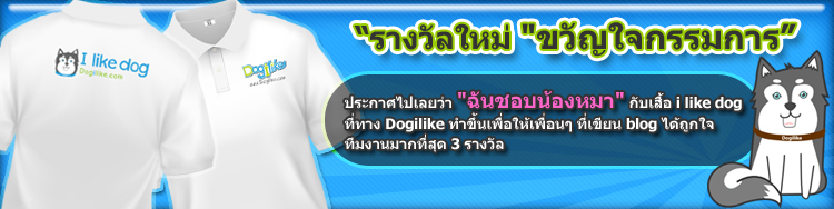��Ǩ�آ�Ҿ�عѢ��ն֧��ҹ