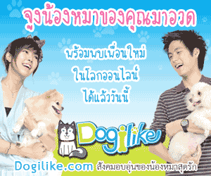 น้องหมา หมา น่ารักมากมาย