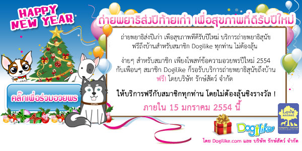 ไฟล์แนบ: