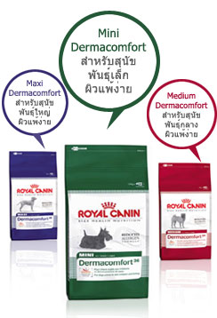 อาหารสุนัข Rolay Canin อาหารสุนัข Rolay Canin