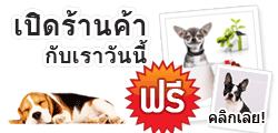 ʻʺó ҡԴҹѺ Dogilike Marketplace ѹ