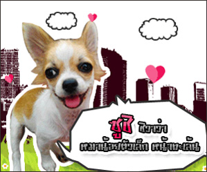 น้องซูชิ