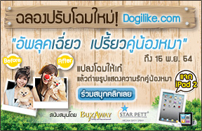อัพลุคเฉี่ยว เปรี้่ยวคู่น้องหมา