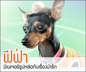 ฟีฟ่า มิเนเจอร์รูปหล่อกับเรื่องน่ารัก