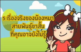 5 เรื่องจริงของน้องหมาสายพันธุ์ขาสั้นที่คุณอาจยังไม่รู้