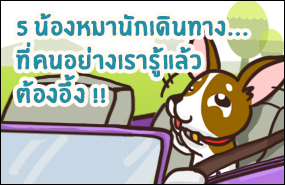 5 น้องหมานักเดินทาง... ที่คนอย่างเรารู้แล้วต้องอึ้ง