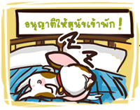 ที่พักสามารถพาน้องหมาเข้าพักได้หรือไม่ และมีกฎหรือข้อห้ามอะไรบ้าง