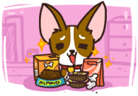 การพาน้องหมาเข้าไปในร้านอาหาร ควรเตรียมภาชนะในการกินอาหารของน้องหมามาเอง