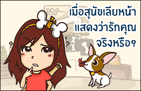 เมื่อสุนัขเลียหน้าแสดงว่ารักคุณ จริงหรือ?