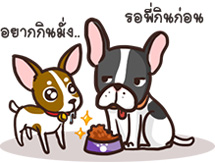 จ่าฝูงจะมีตำแหน่งสูงสุด มีอำนาจ และเป็นผู้คุมกฎต่าง ๆ ในฝูง