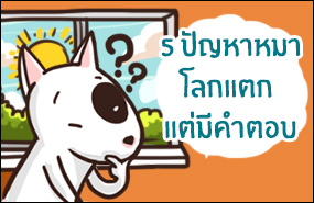 5 ปัญหาหมาโลกแตก แต่มีคำตอบ