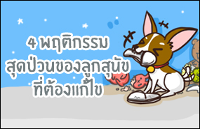 4 พฤติกรรมสุดป่วนของลูกสุนัขที่ต้องแก้ไข