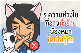5 ความห่วงใยที่อาจทำร้ายน้องหมาโดยไม่รู้ตัว