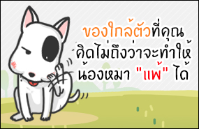 ของใกล้ตัวที่คุณคิดไม่ถึงว่าจะทำให้น้องหมา "แพ้" ได้