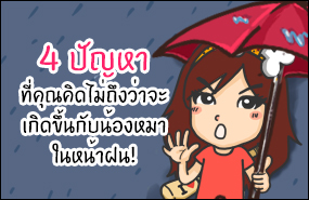 4 ปัญหาที่คุณคิดไม่ถึงว่าจะเกิดขึ้นกับน้องหมาในหน้าฝน!