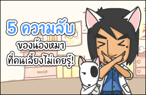 5 ความลับของน้องหมา ที่คนเลี้ยงไม่เคยรู้!