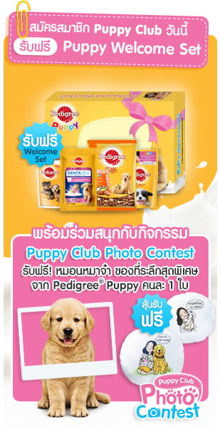 Special Puppy Tips by Pedigree® Puppy
