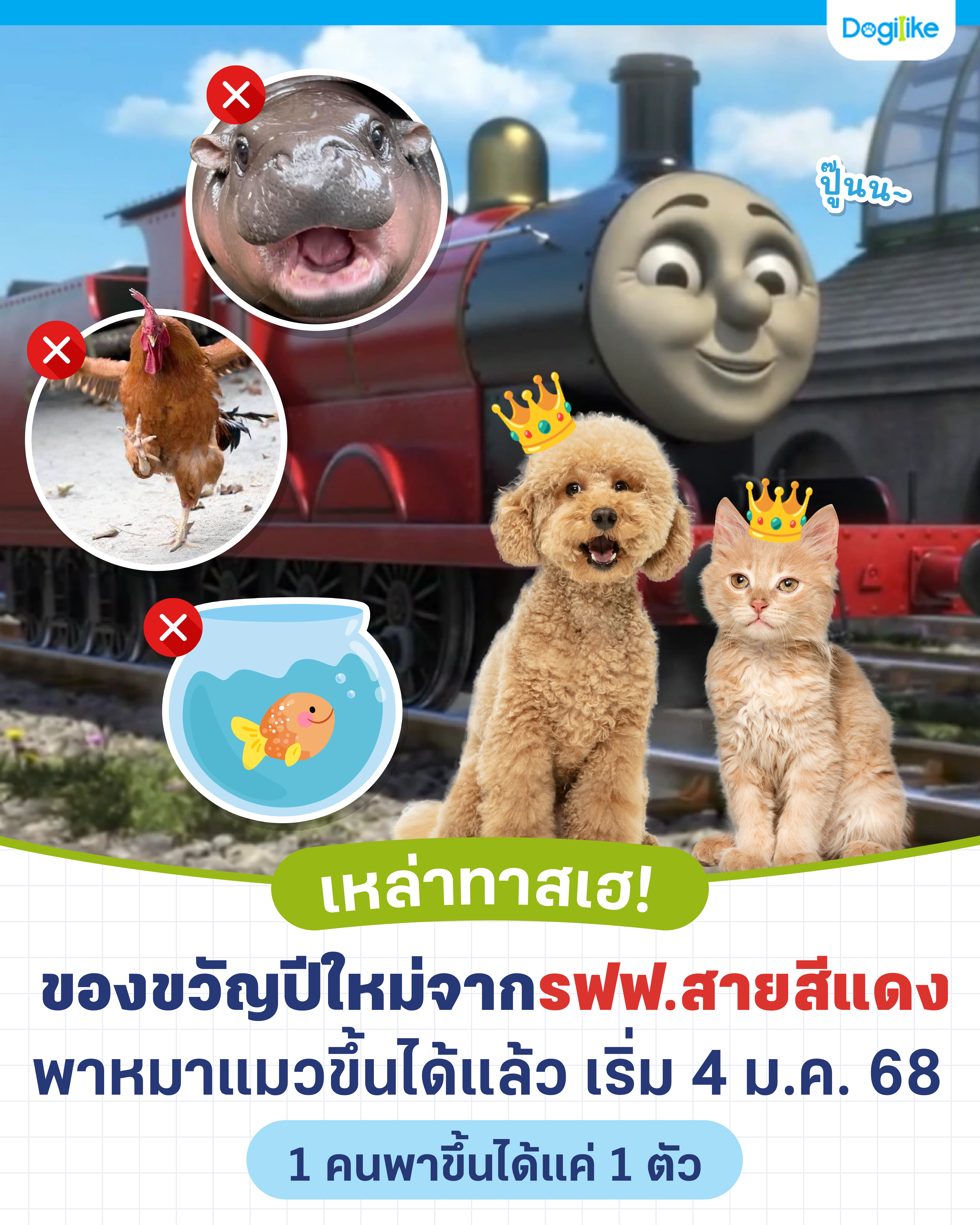 Dogilike.com :: -Ǣö俿ᴧǵ͹Ѻ 2568