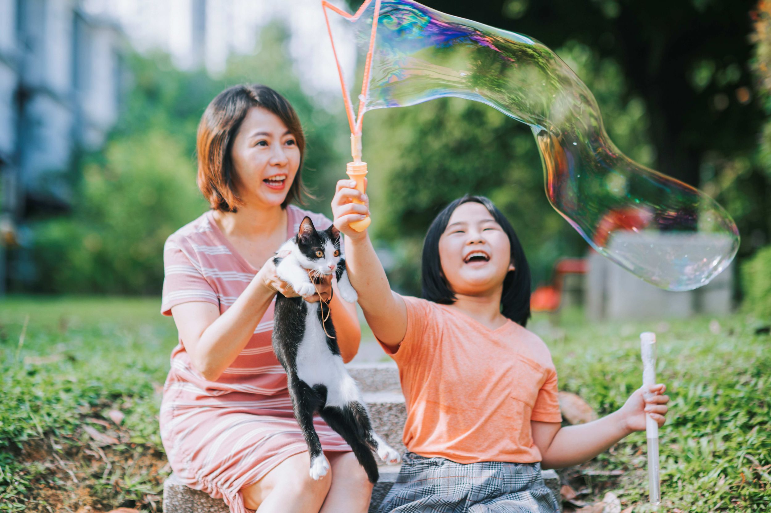Dogilike.com :: ͡ùͧ  ͷҨѺҹҹ 