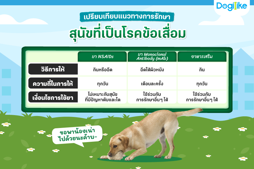Dogilike.com :: ѵ ŹͧҢѺҫա