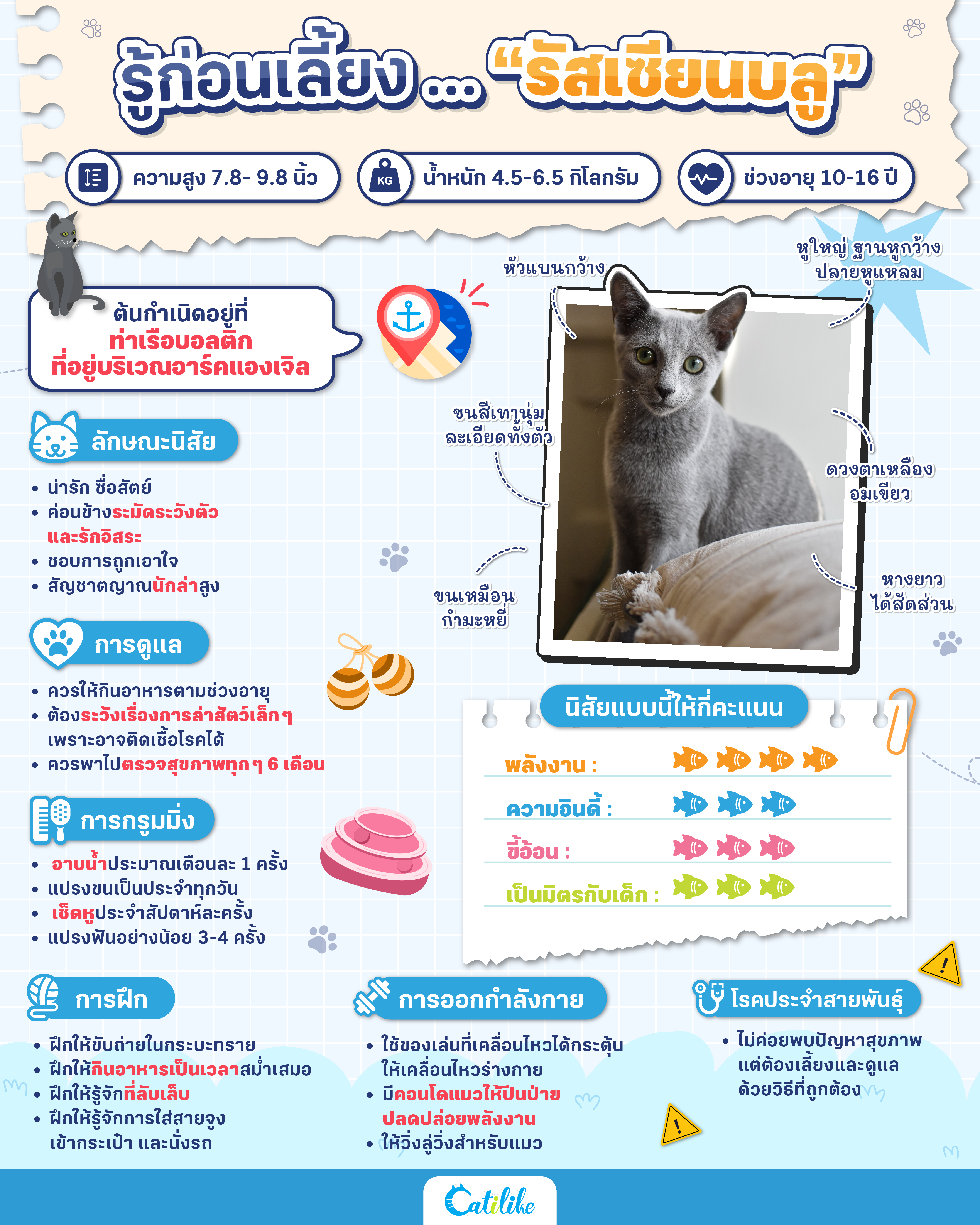 Dogilike.com :: ͹§ ... ¹