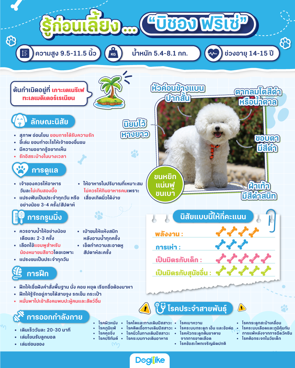 Dogilike.com :: ͹§ ... Ԫͧ 