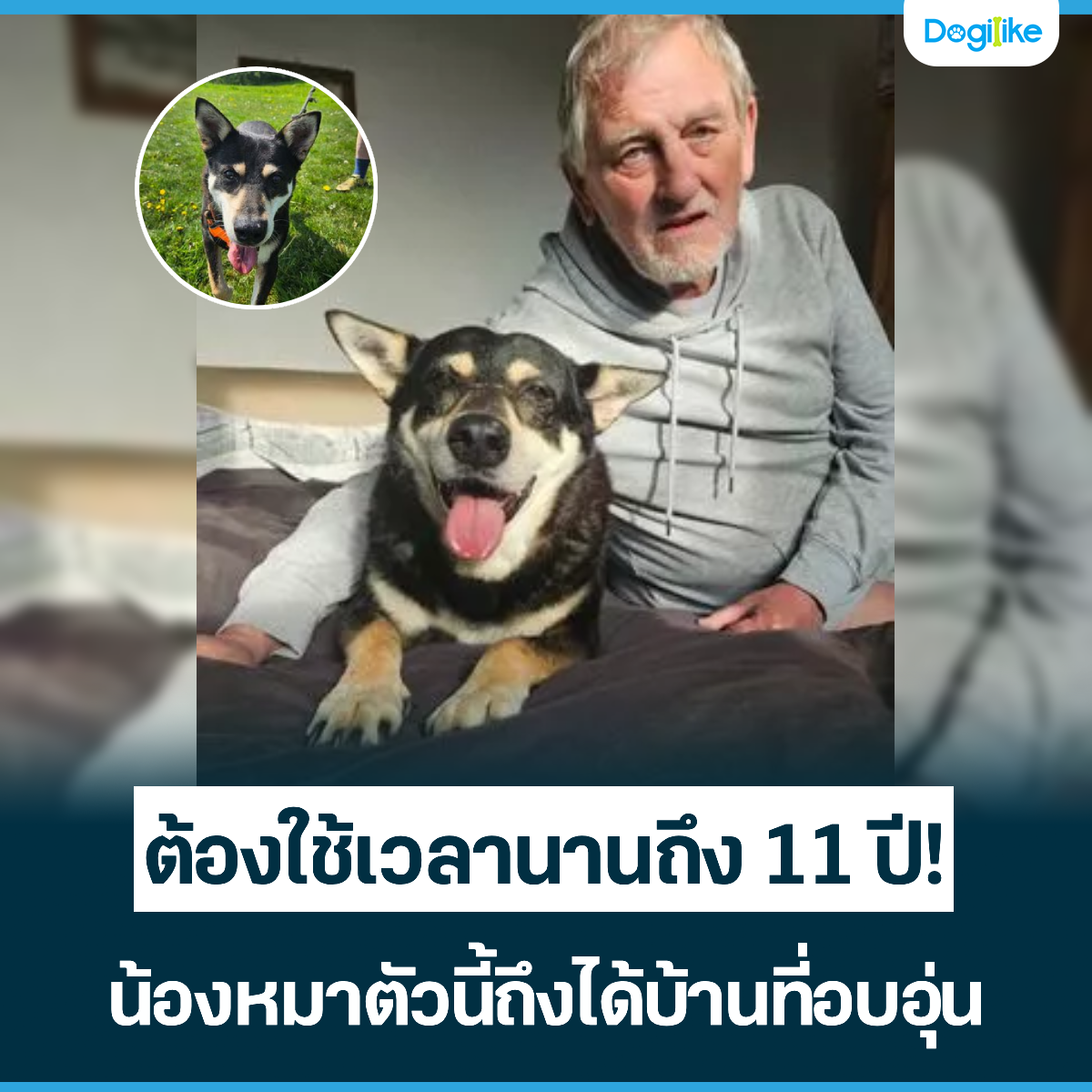 Dogilike.com :: ͧҹҹ֧ 11 ! ͧҵǹ֧ҹͺ