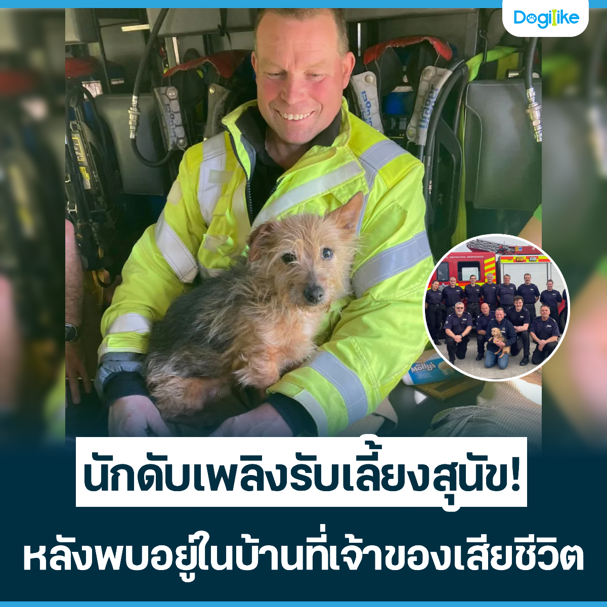 Dogilike.com :: ѡѺԧѺ§عѢ! ѧ㹺ҹҢͧªԵ