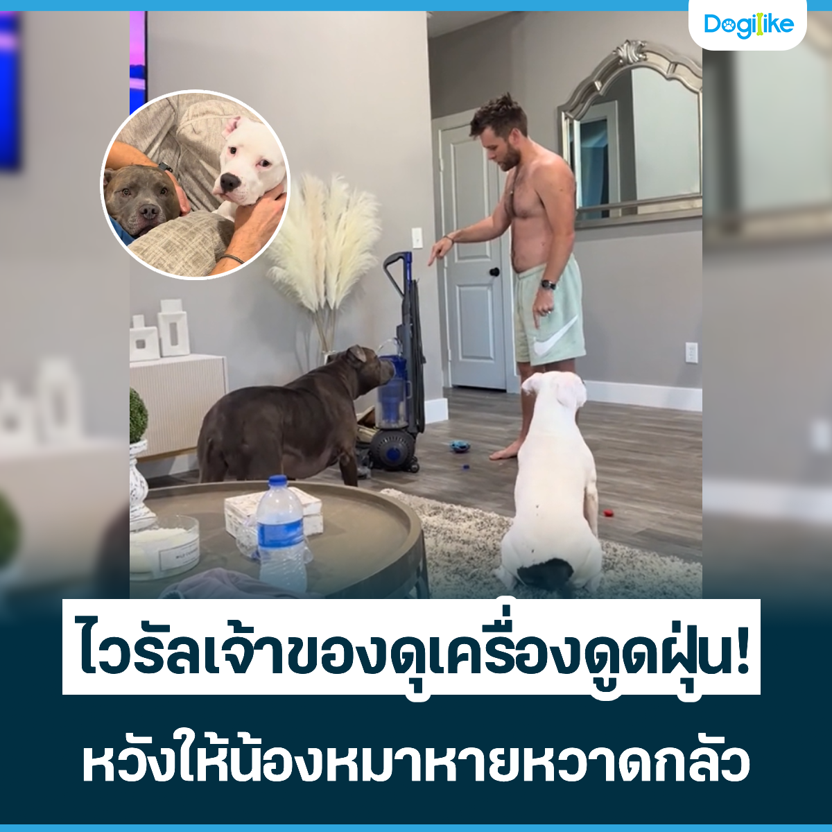Dogilike.com :: Ңͧͧٴ! ѧͧҴ