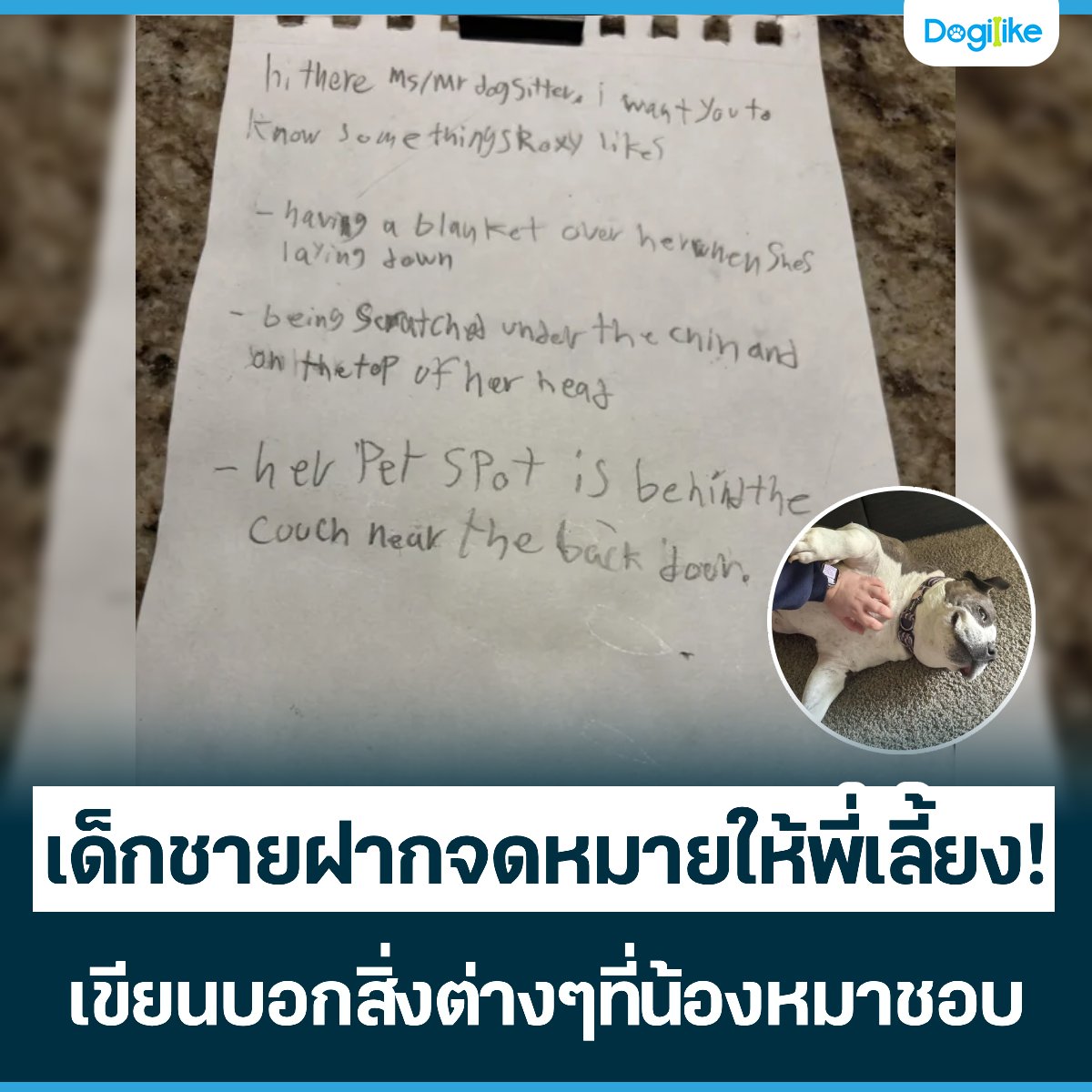 Dogilike.com :: 硪½ҡ§! ¹͡觵ҧͧҪͺ