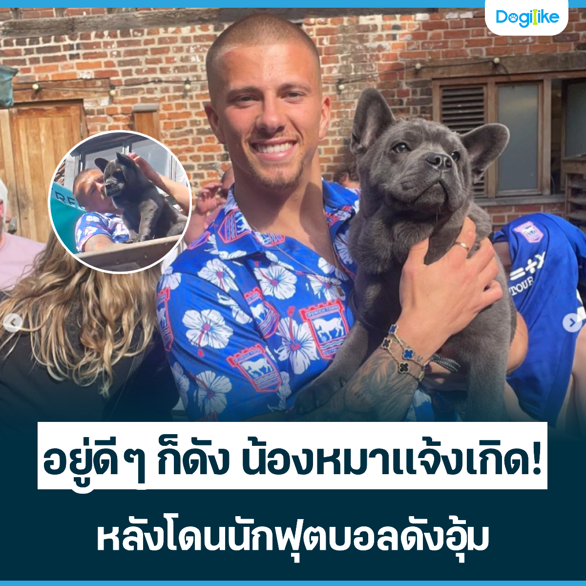 Dogilike.com ::   ѧ ͧԴ ѧⴹѡصŴѧ