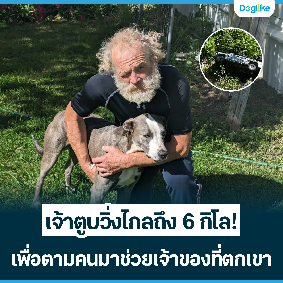 Dogilike.com :: ҵٺŶ֧ 6 ! ͵ҪҢͧ赡