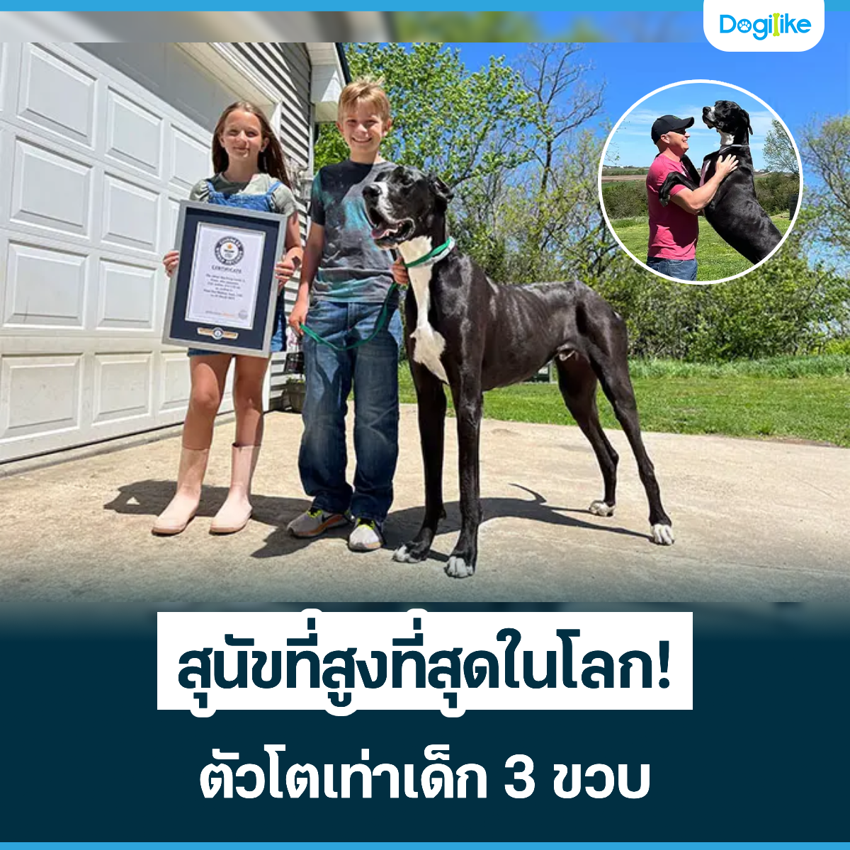 Dogilike.com :: عѢ٧شš!  3 Ǻ