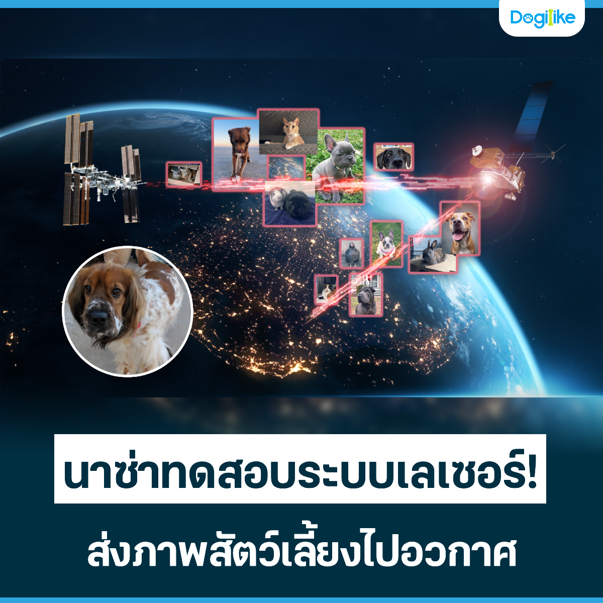Dogilike.com :: นาซ่าทดสอบระบบเลเซอร์! ส่งภาพสัตว์เลี้ยงไปอวกาศ