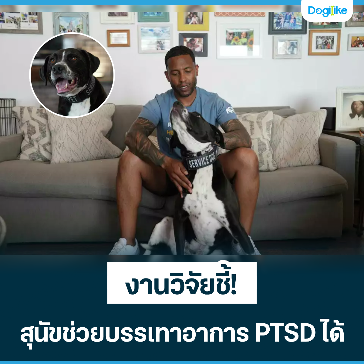 Dogilike.com :: ҹԨª! عѢºҡ PTSD 
