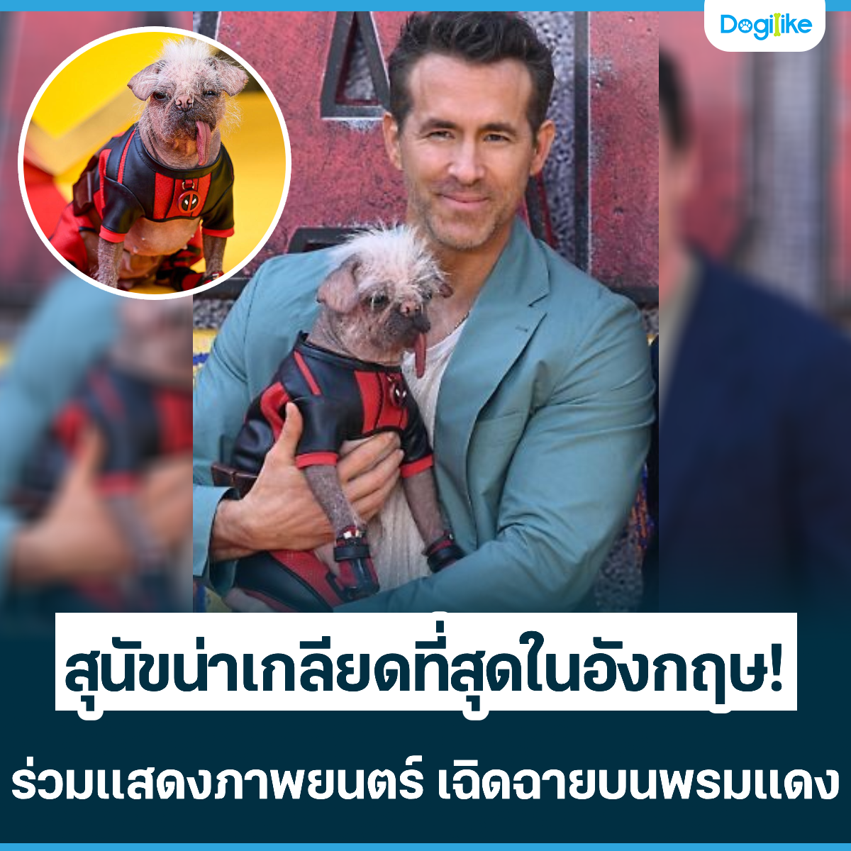 Dogilike.com :: عѢ´شѧ! ʴҾ¹ Դºᴧ