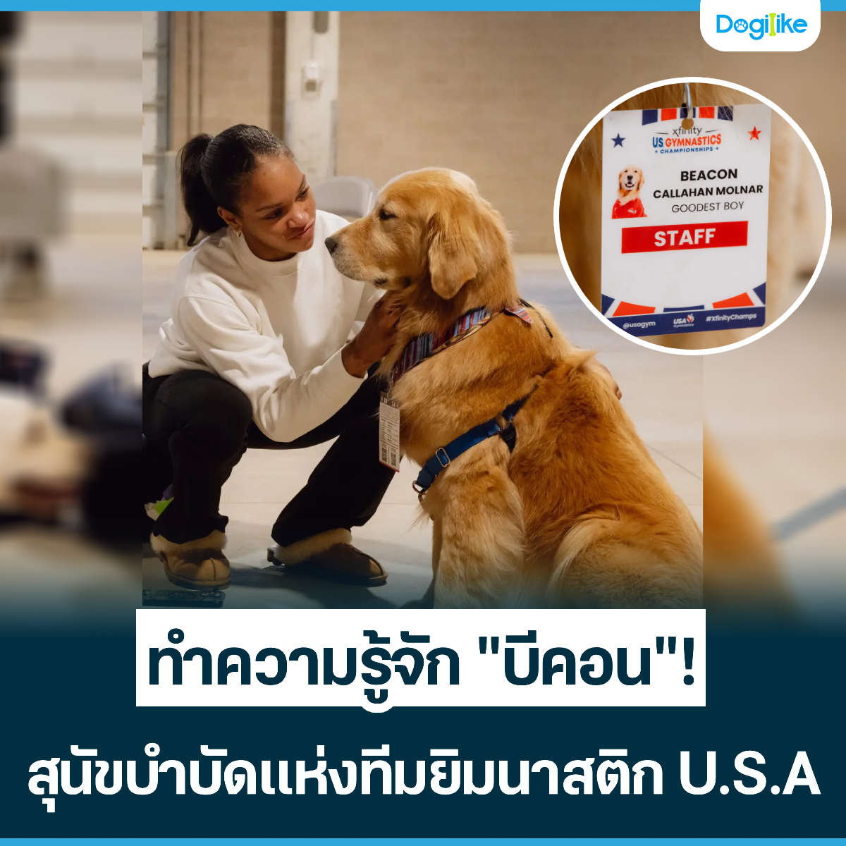 Dogilike.com :: Ӥѡ դ͹! عѢӺѴ觷ʵԡ U.S.A