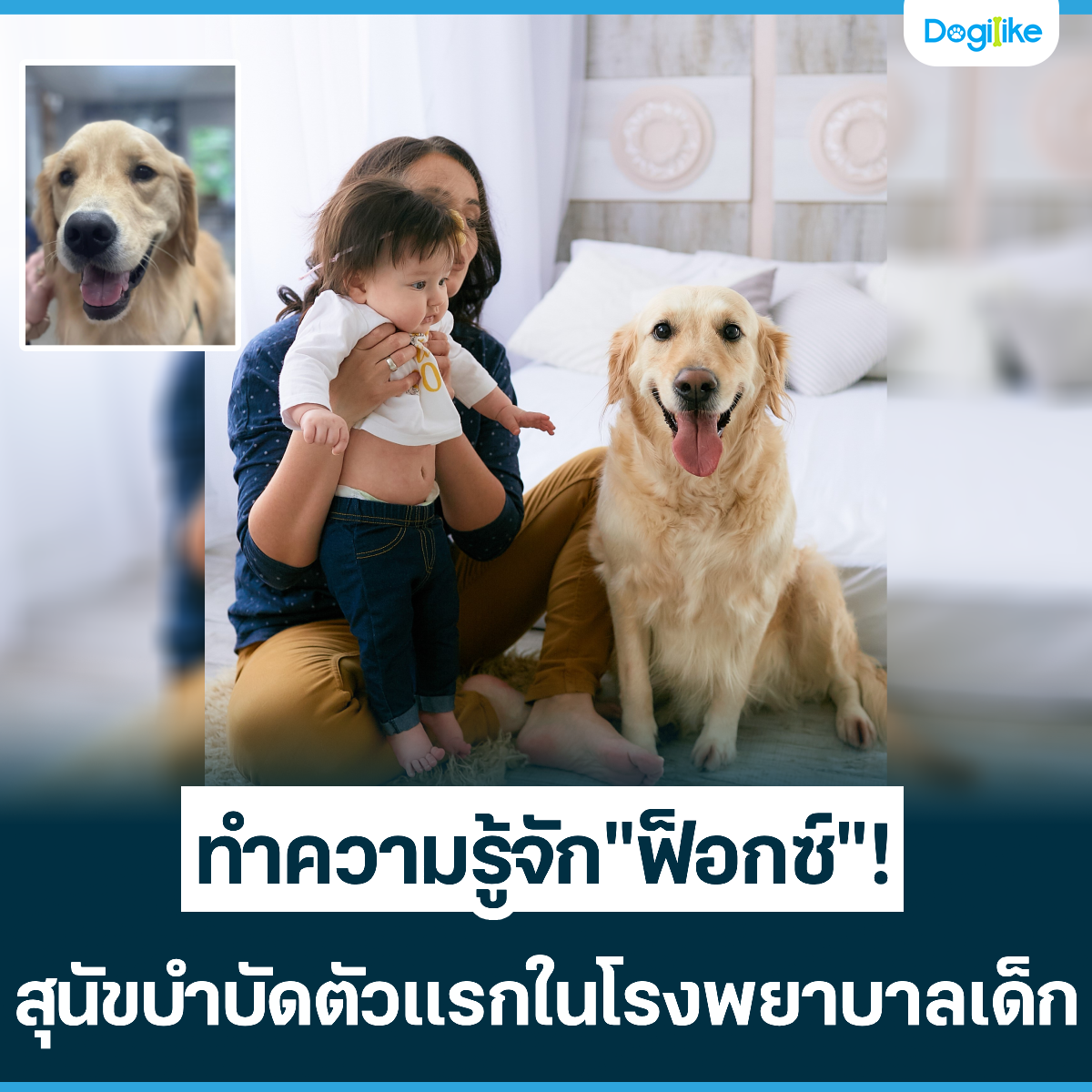 Dogilike.com :: Ӥѡ͡! عѢӺѴáçҺ