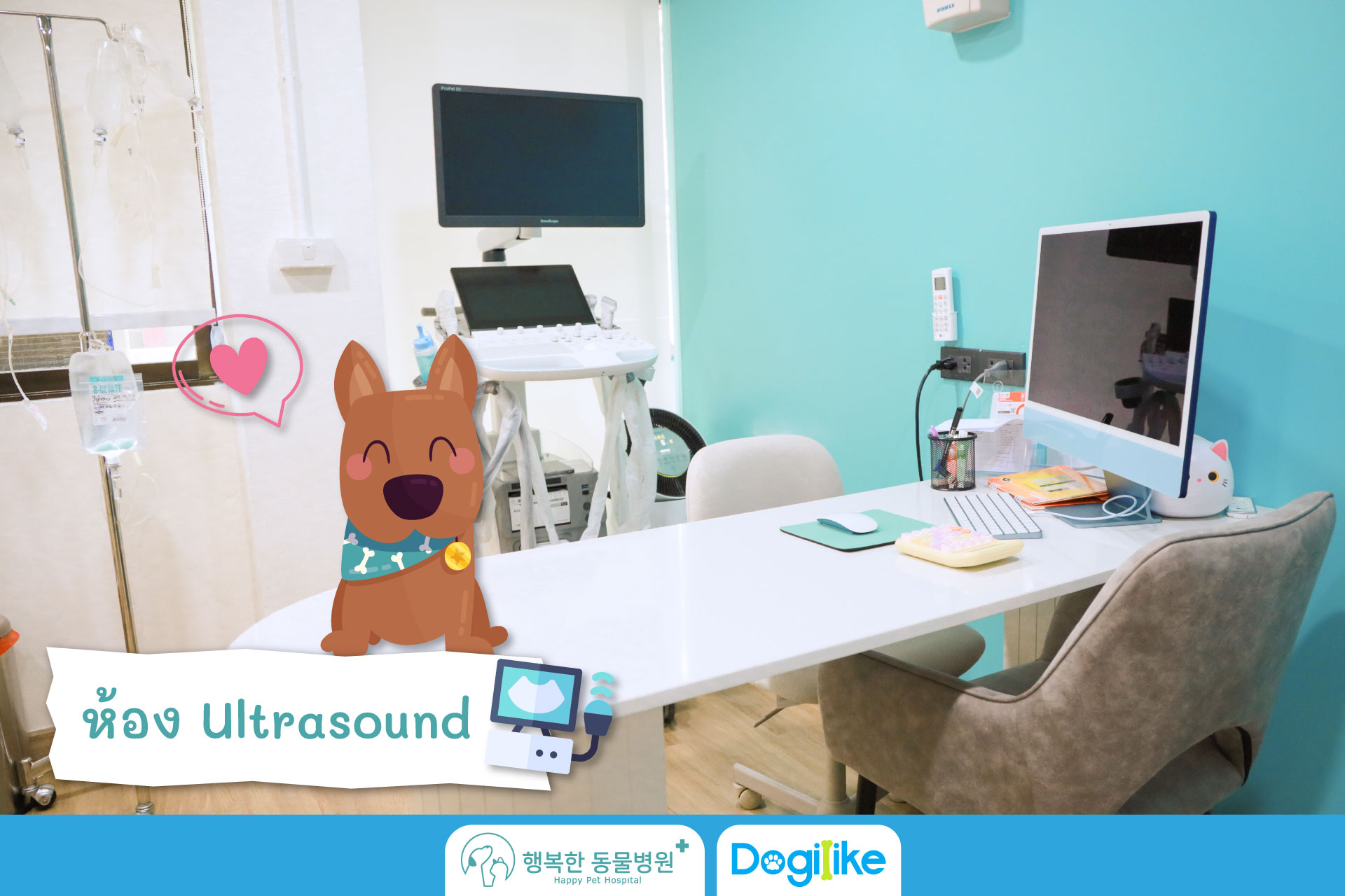 Dogilike.com :: Happy Pet Hospital çҺѵҡշá