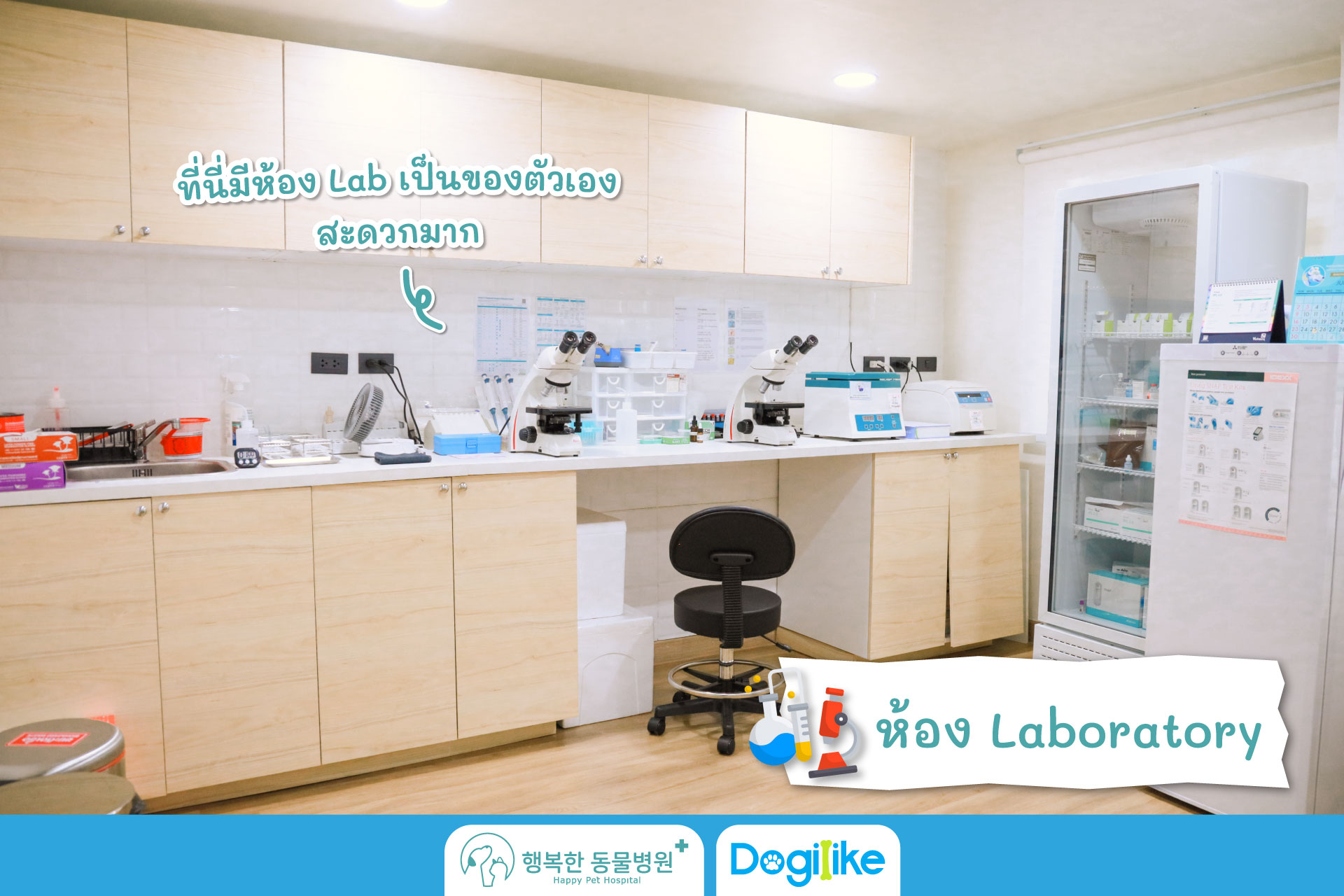 Dogilike.com :: Happy Pet Hospital çҺѵҡշá