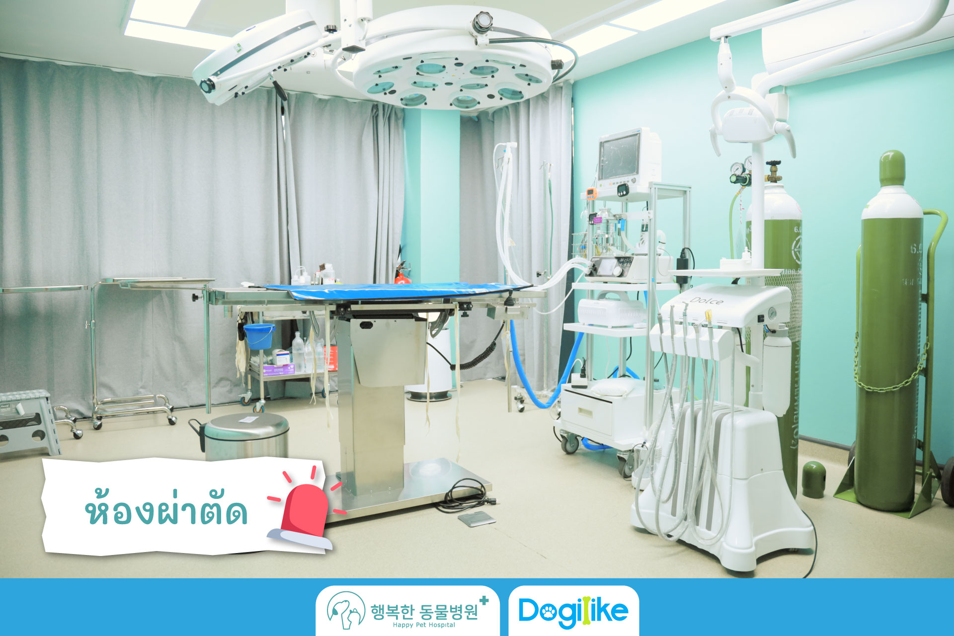 Dogilike.com :: Happy Pet Hospital çҺѵҡշá