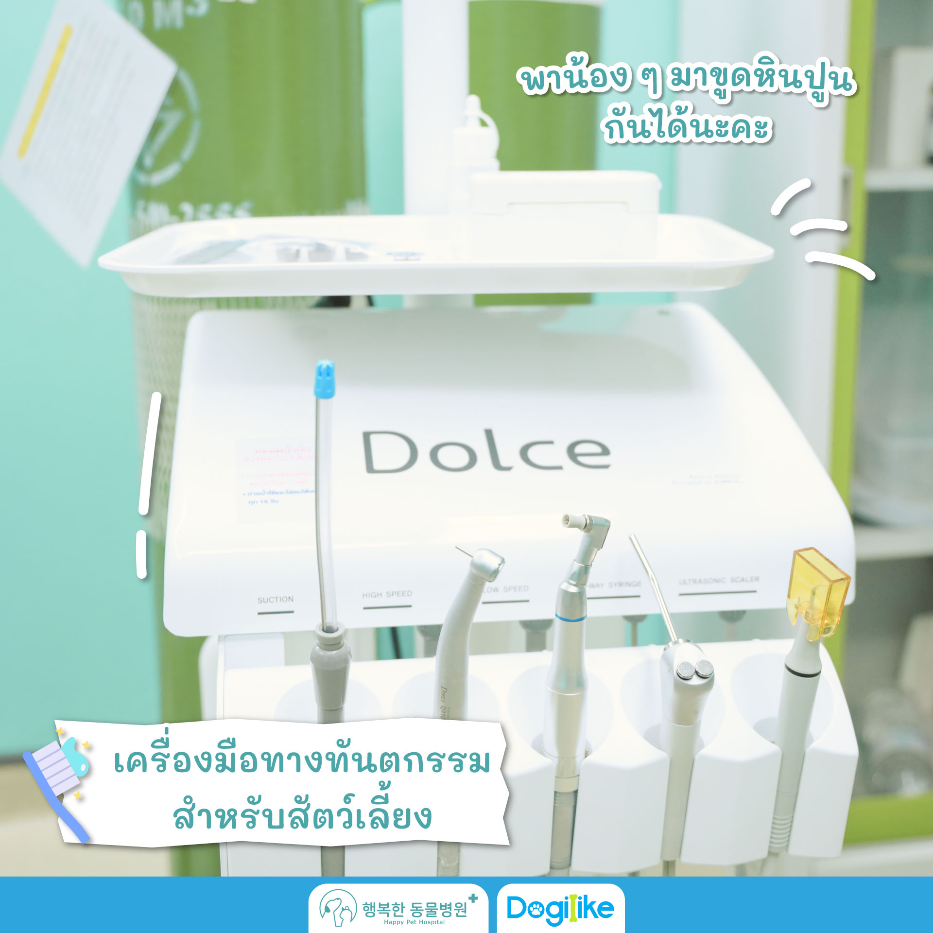 Dogilike.com :: Happy Pet Hospital çҺѵҡշá