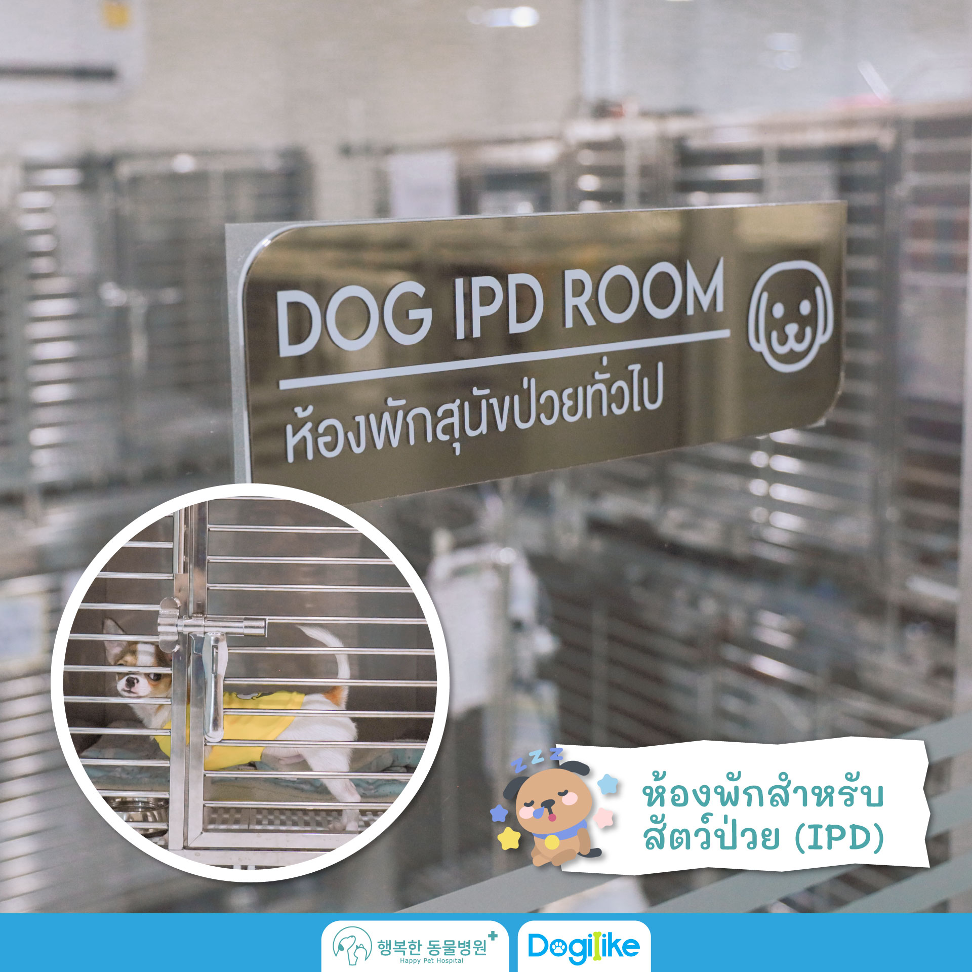Dogilike.com :: Happy Pet Hospital çҺѵҡշá