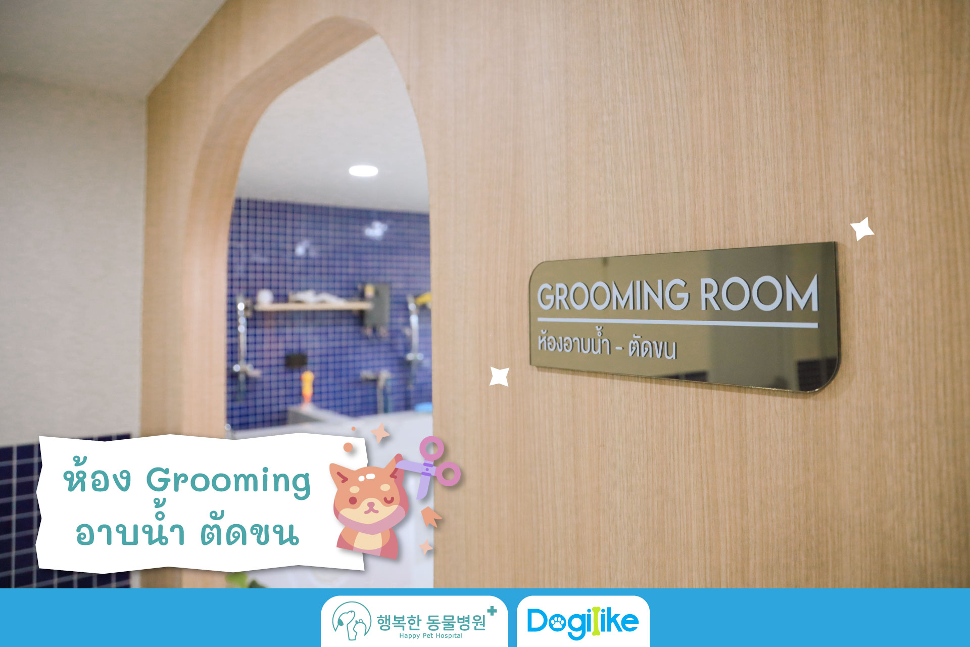 Dogilike.com :: Happy Pet Hospital çҺѵҡշá