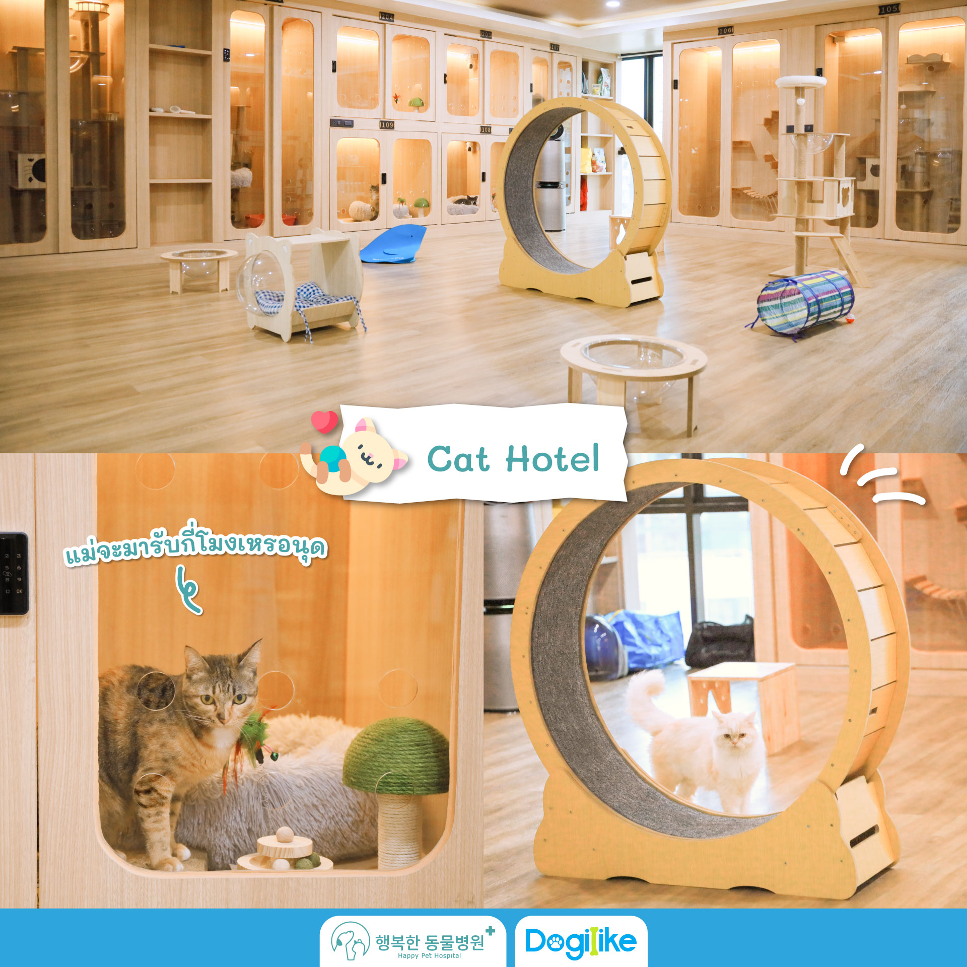 Dogilike.com :: Happy Pet Hospital çҺѵҡշá