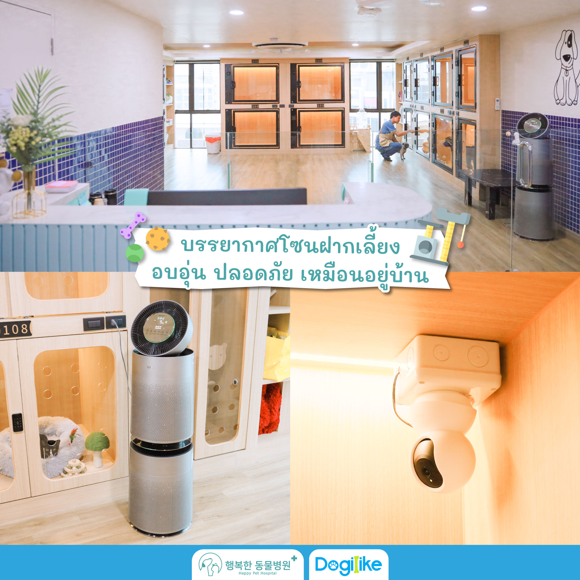 Dogilike.com :: Happy Pet Hospital çҺѵҡշá