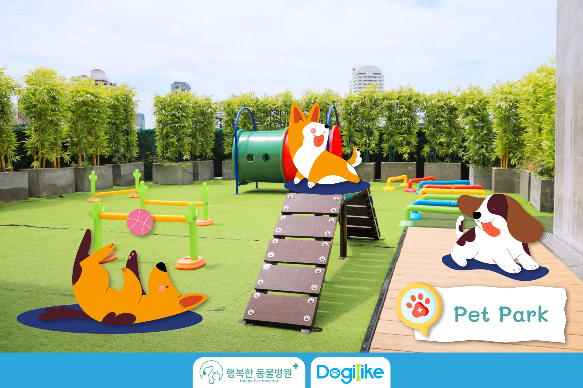 Dogilike.com :: Happy Pet Hospital çҺѵҡշá