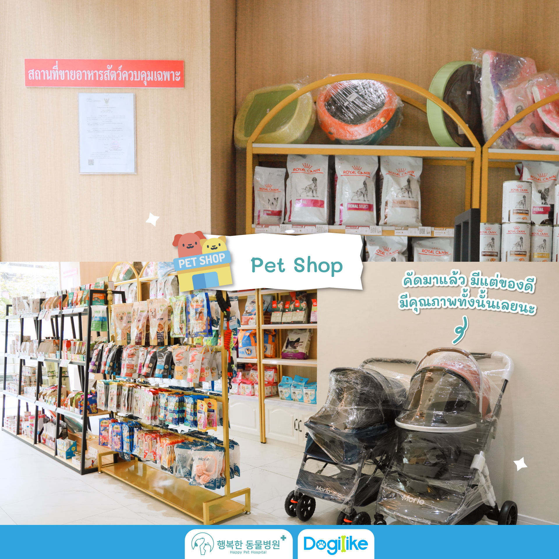 Dogilike.com :: Happy Pet Hospital çҺѵҡշá