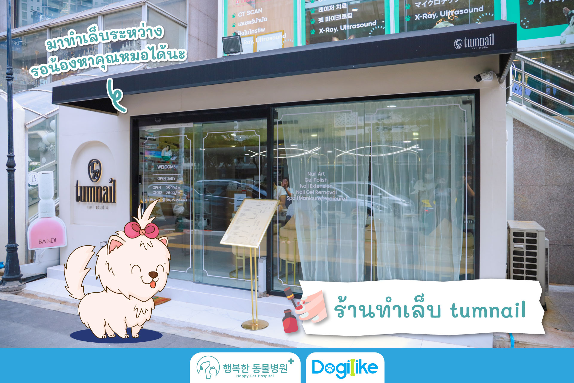 Dogilike.com :: Happy Pet Hospital çҺѵҡշá